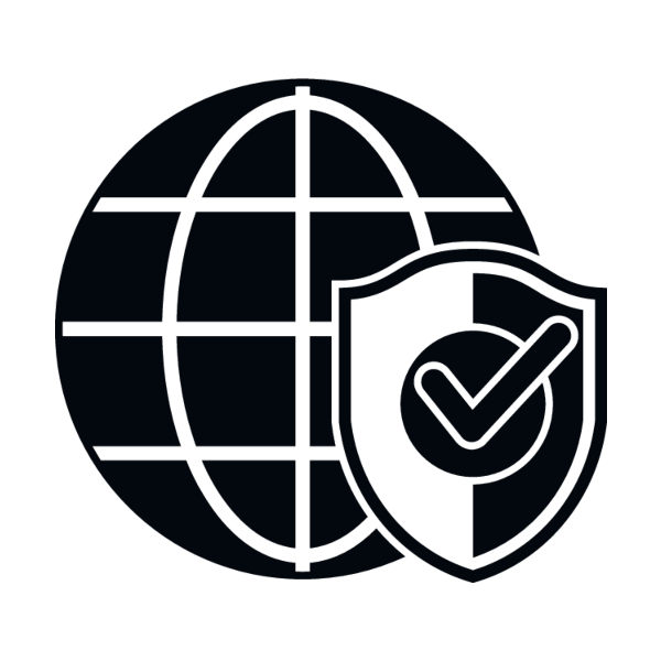 A black globe icon with grid lines, overlaid by a shield featuring a checkmark, symbolizing internet security or global online protection, on a light gray background.